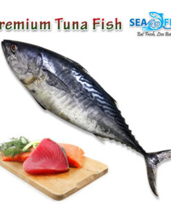 tuna 05 gb copy
