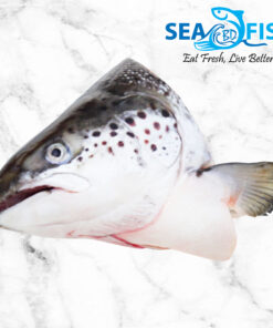 salmon head